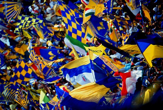 hellas verona