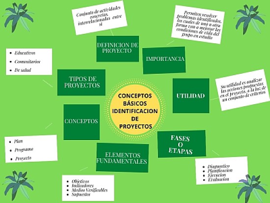 Conceptos bÃ¡sicos para la identificaciÃ³n proyecto