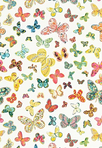 Maripositas Multicolores