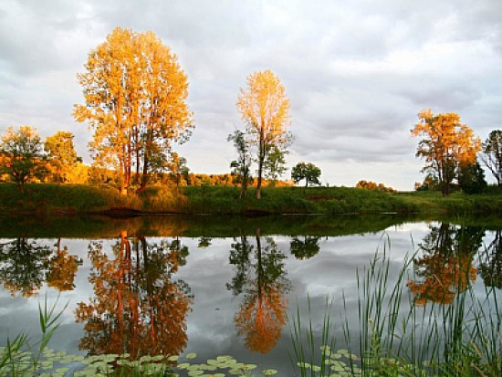 effet miroir