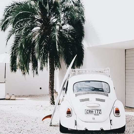 Fusca and palm tree