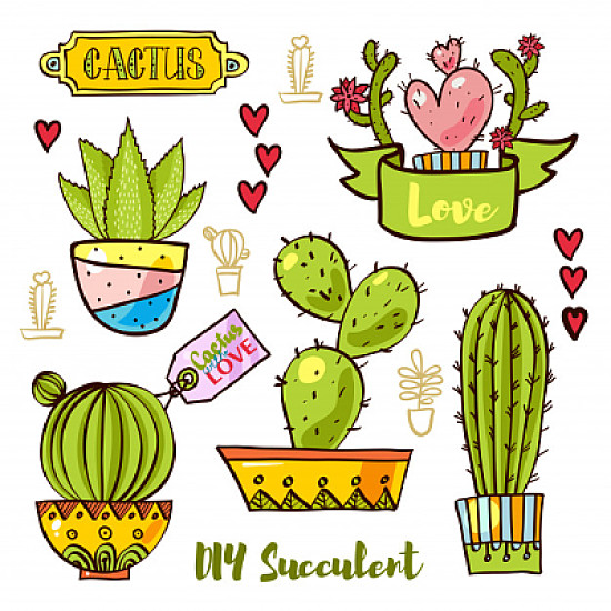 cactus