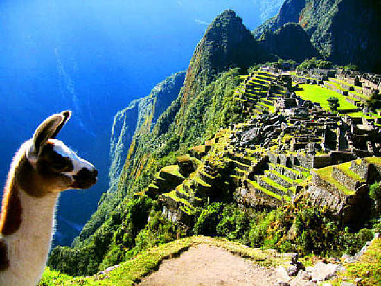 Machu Picchu