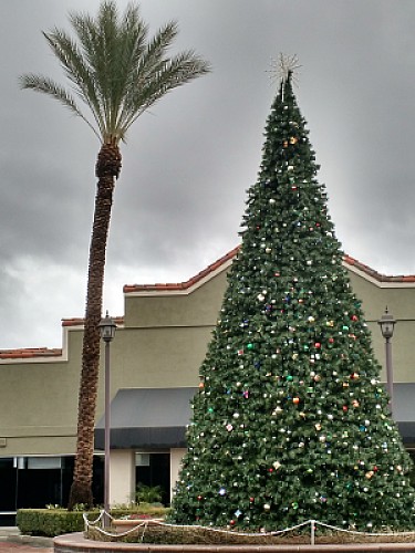 Christmas at Lake Elsinore