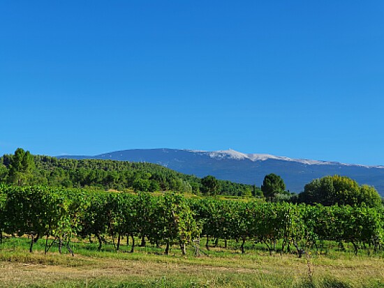 mont Ventoux