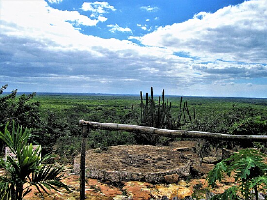 Paisaje sureÃ±o, YucatÃ¡n.