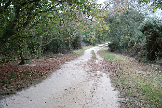 A Walk in the Park - Walton-on-the Naze, U.K.