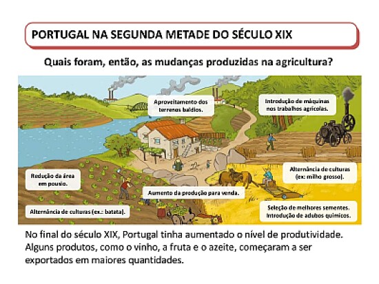 modernizaÃ§Ã£o da agricultura