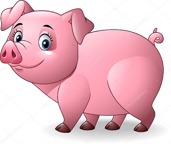 Pig