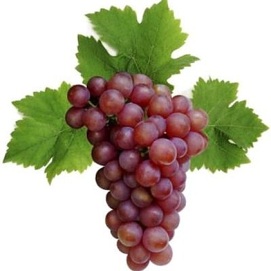 UVAS