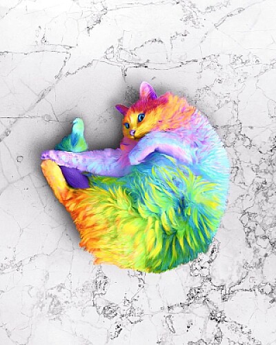 Colorful Cat