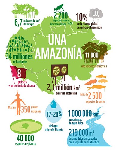 AMAZONIA SOCIEDAD Y AMBIENTE