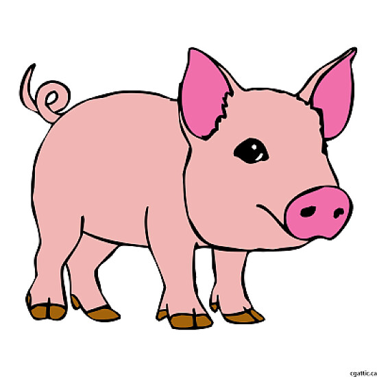 Cochon