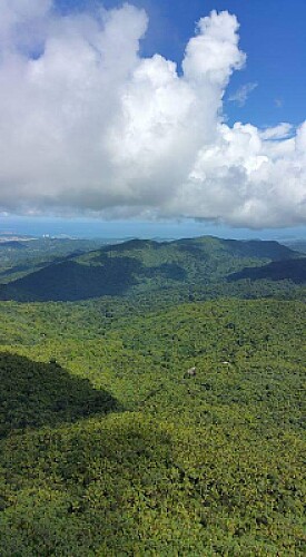 Yunque 1, 2015