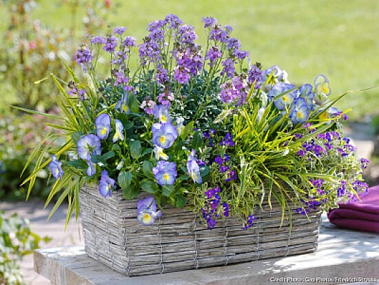 bouquet de fleurs