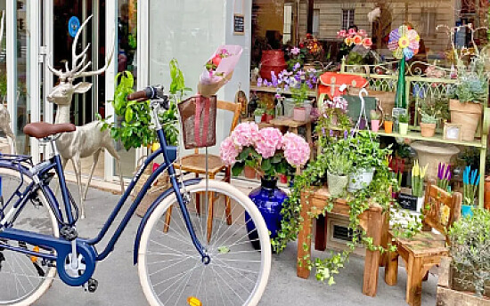 tienda de plantas