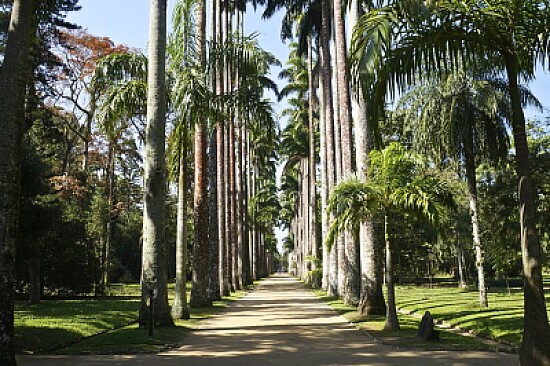 Rio de Janeiro - Brasil