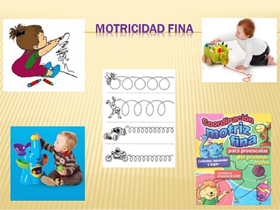 Motricidad fina