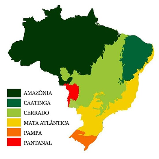 BRASIL