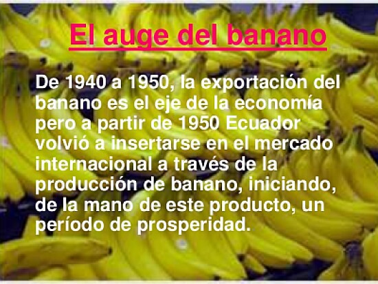 Auge Bananero