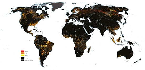 MAPA DO DESMATAMENTO MUNDIAL