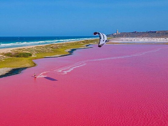 Salinas rosadas, Venezuela