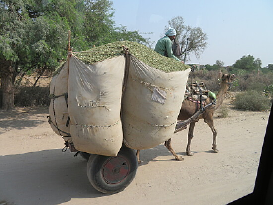 moyen de locomotion 2