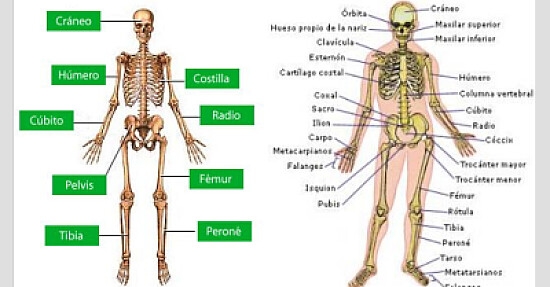 Naturales