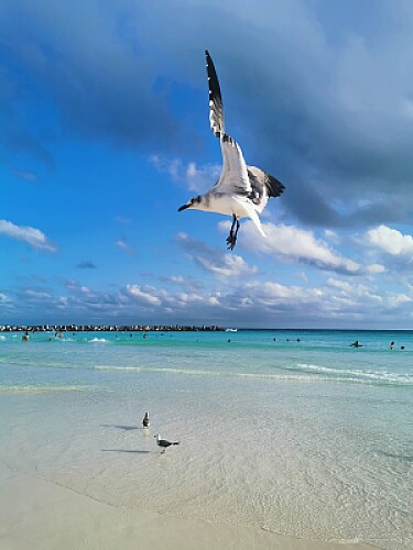 Recuerdos de Cancún