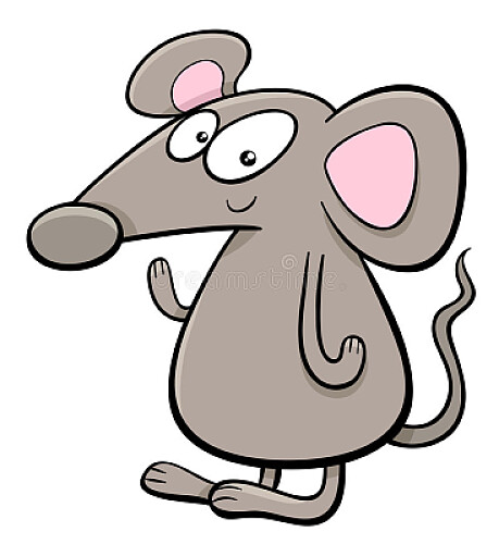 ratón