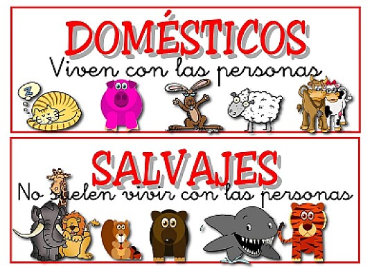 animales