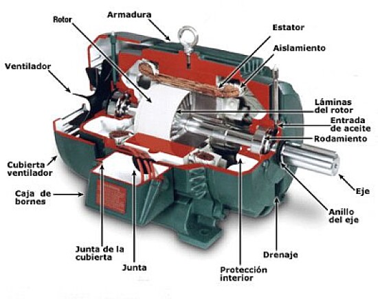 MOTOR ELECTRICO