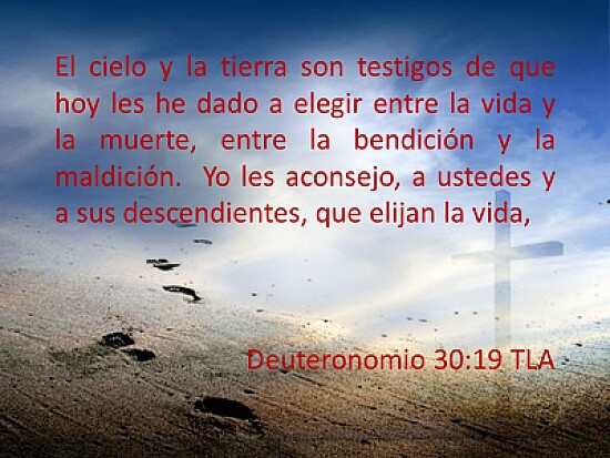 texto biblico