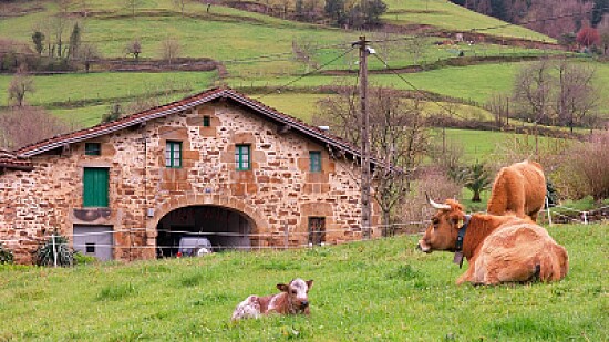 Valle de Atxondo-Euskadi