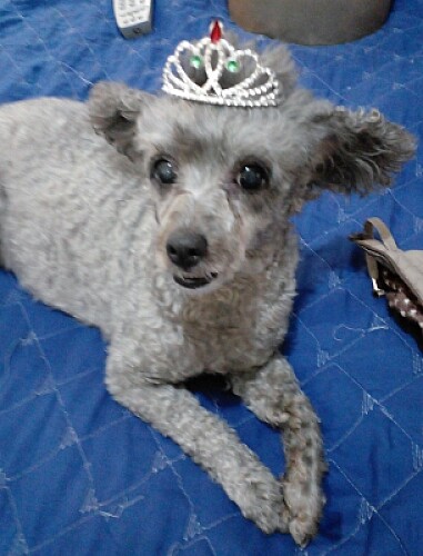 Princesa Bety.