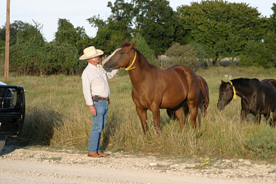 Wagon Wheel Ranch