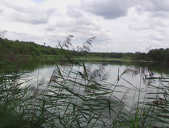 Canal Loiret