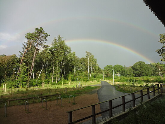 Regenbogen Sahlenburg