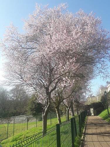 Printemps Hauts de Seine