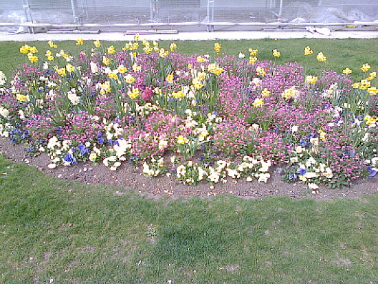 Neuchâtel quais fleuris 2