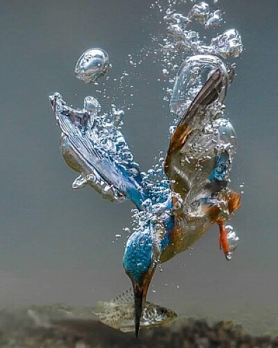 MARTINO... il PESCATORE