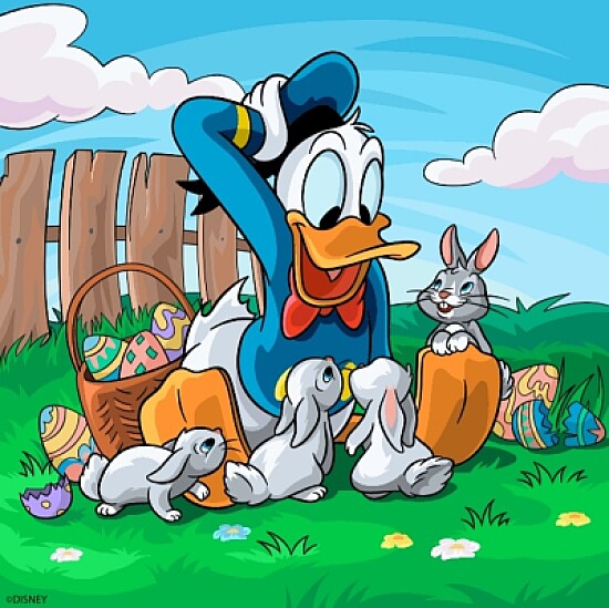 Pato donald