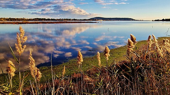 Etang de Thau France