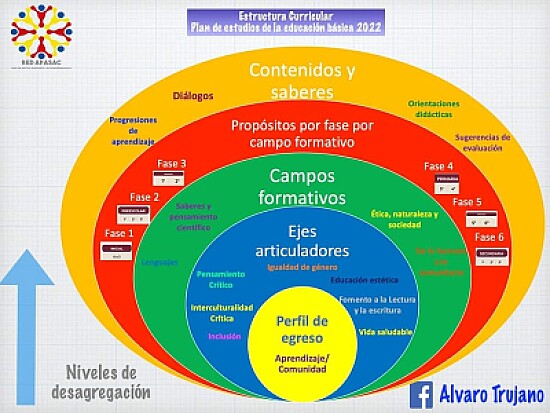 Estructura curricular