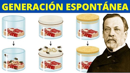 Generación espontánea