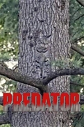 PREDATOR