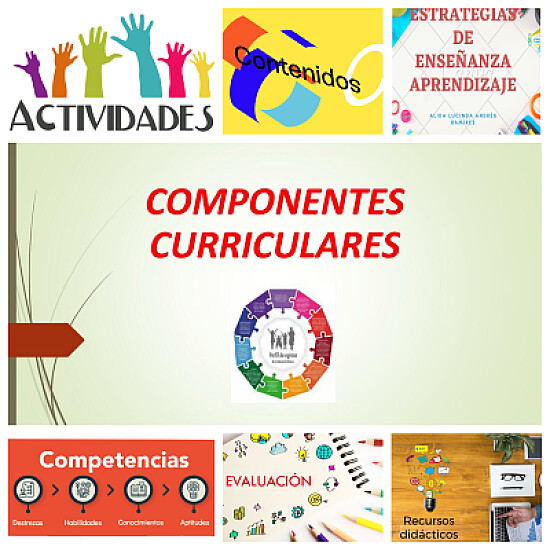 Juego sobre los componentes curriculares