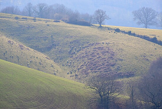 Pays Basque et ses collines