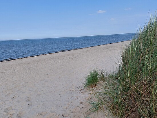 Schillig Hundestrand