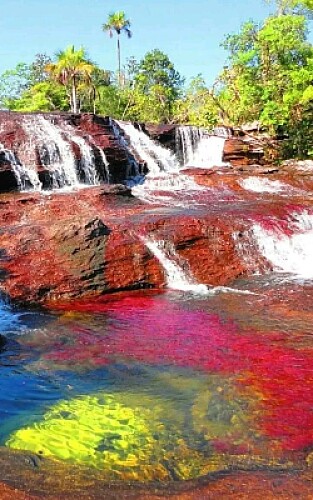 Caño Cristales, Colombia